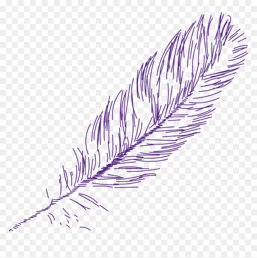 Miracle Png - Miracle Ranch - Miracle Png, Transparent Png - ranch png