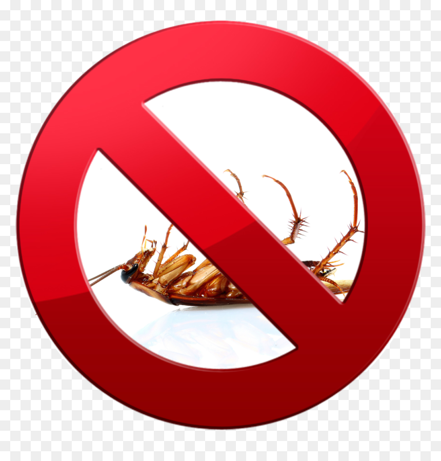 Cucaracha Muerta Patas Arriba Clipart , Png Download - Kecoa Terbalik, Transparent Png - cucaracha png