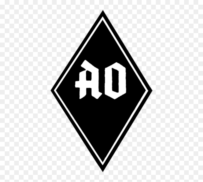 Auslands-organisation - Wss Integrated Technologies, HD Png Download - hitler head png