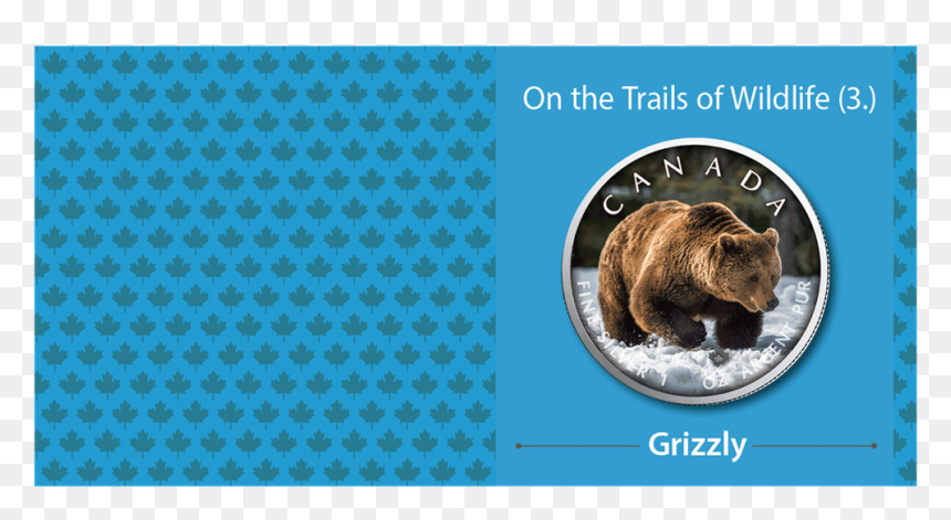Ibca201955 3 - Punxsutawney Phil, HD Png Download - grizzly png