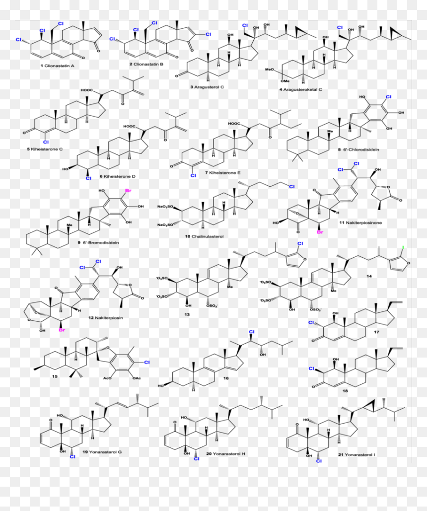Halogenated Marine Steroids , Png Download - Steroidhormone, Transparent Png - steroids png