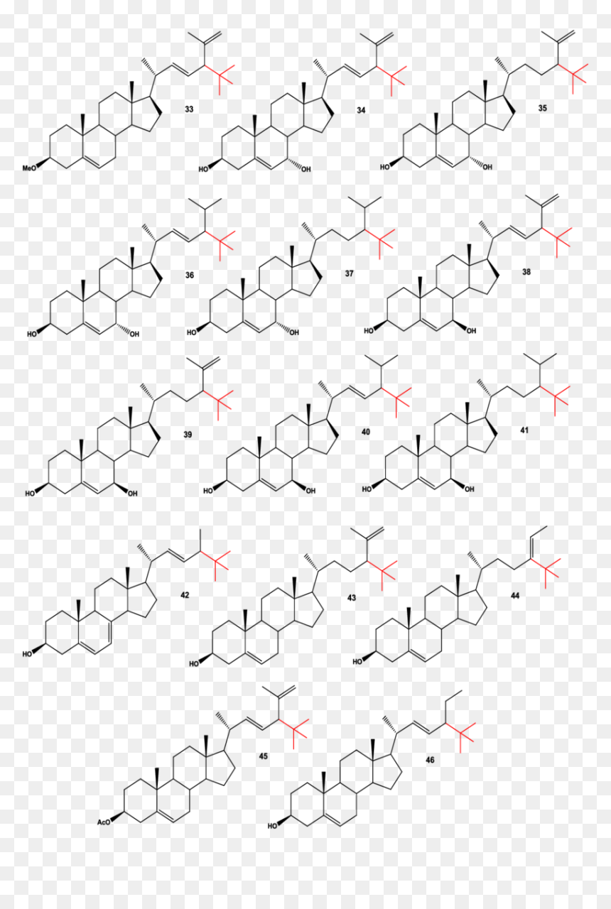 Neo Steroids Isolated From Marine Sponges, Anemones - Parallel, HD Png Download - steroids png