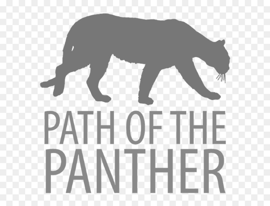 Confirm That You Like This - Jaguar, HD Png Download - grizzly png