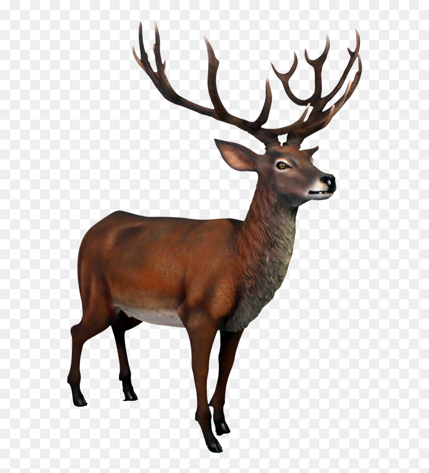 Thumb Image - Elk, HD Png Download - stag png