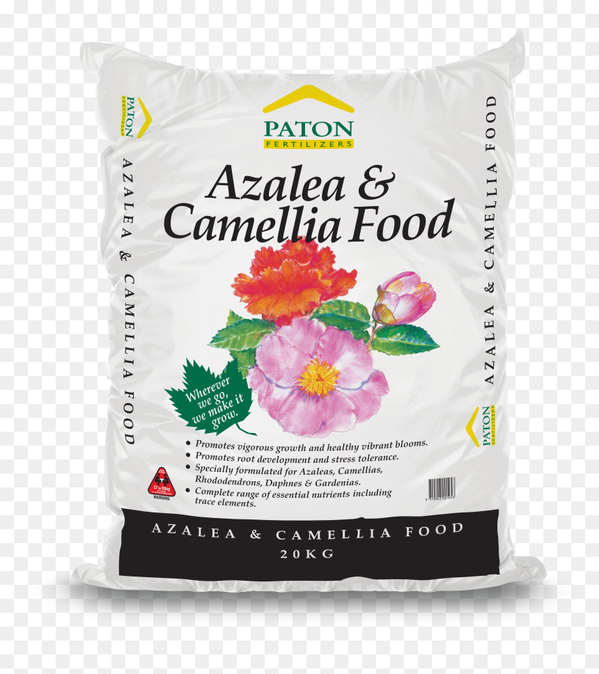Rosa Rubiginosa, HD Png Download - azalea png