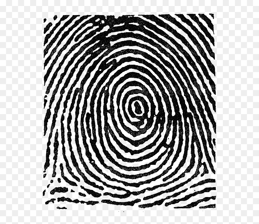 Whorl Fingerprint, HD Png Download - thumb print png
