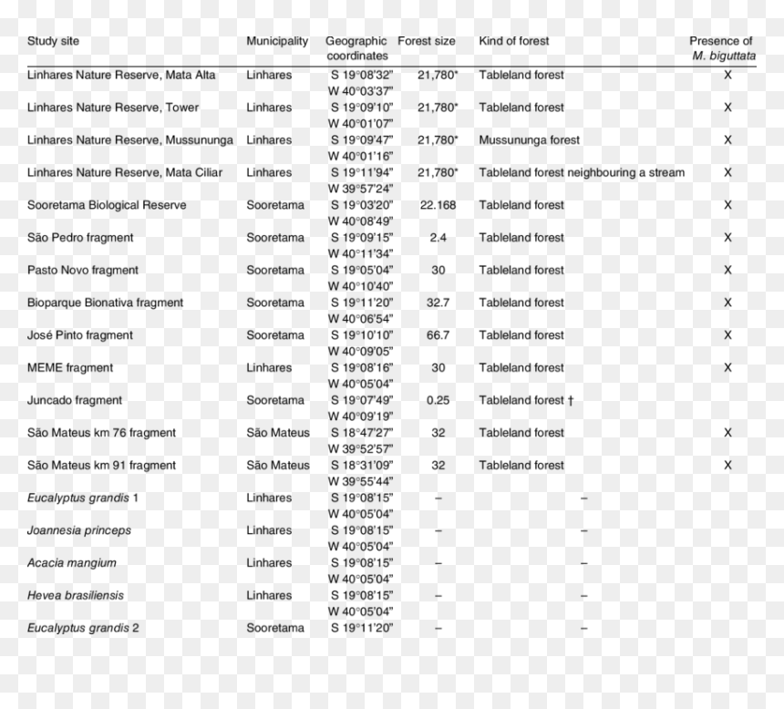 Document, HD Png Download - cucaracha png
