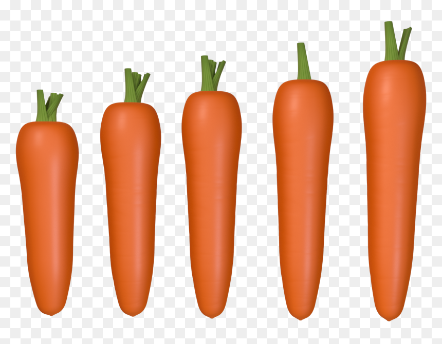 Rábano Zanahoria C4d Png Y Psd - Carrot, Transparent Png - zanahoria png