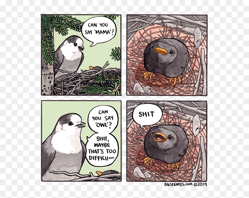 False Knees Shit, HD Png Download - ifunny png