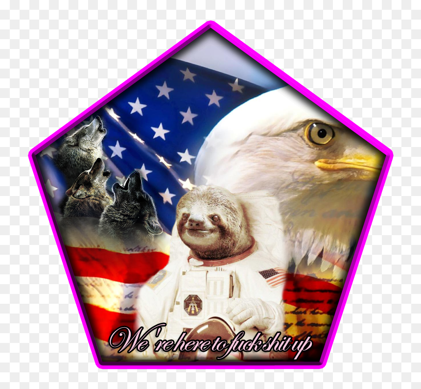 Usa Pixiz, HD Png Download - murica png