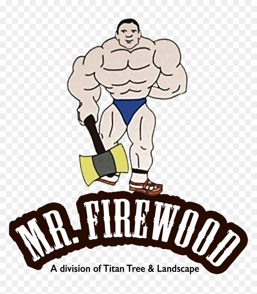 Mr - Firewood - Cartoon, HD Png Download - firewood png