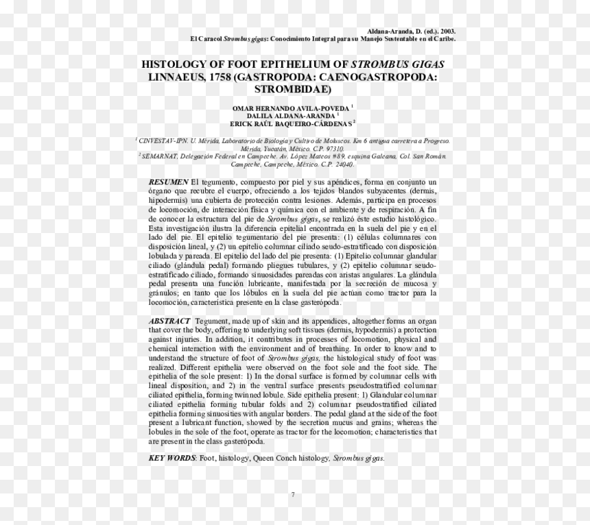 Untitled, Headpiece, Pg. 189, In The Book Dingo By, HD Png Download - carretera png