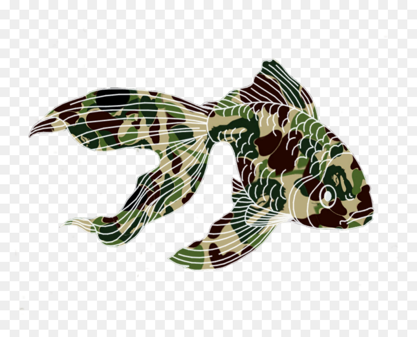 Lionfish , Png Download - Lionfish, Transparent Png - lionfish png