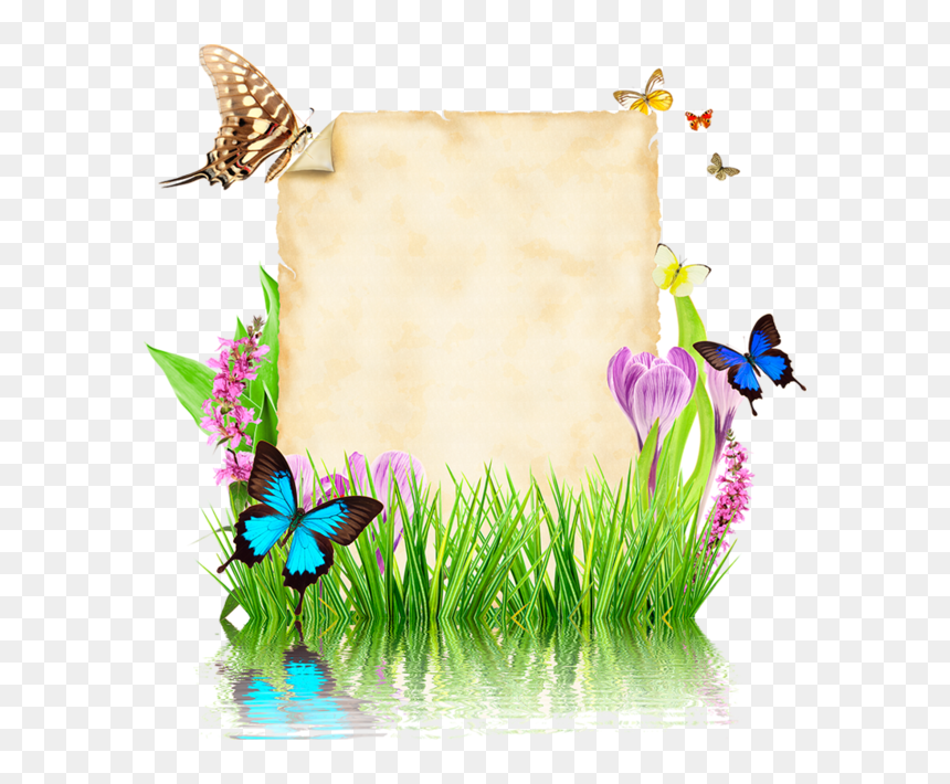 Parchemins Writing Paper, Vector Design, Photoshop - Photoshop Vector Design Png, Transparent Png - paper vector png