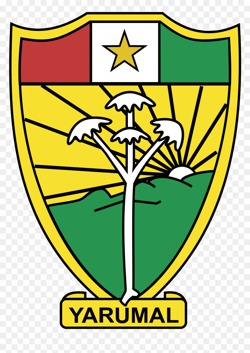 Emblem, HD Png Download - estrellas doradas png