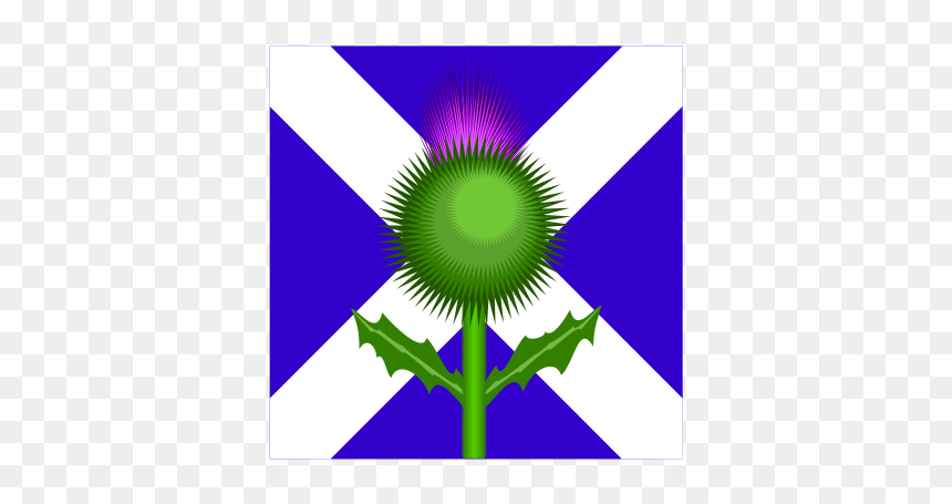 Scottish Thistle And Flag Vector Image - Scotland Flag And Thistle, HD Png Download - scottish flag png