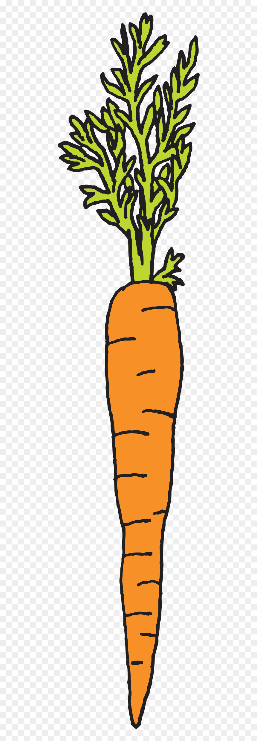 Carrot Dibujo, HD Png Download - zanahoria png
