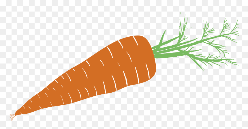 Zanahoria Png Dibujo, Transparent Png - zanahoria png