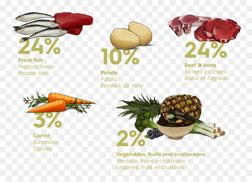 Download Product Sheet , Png Download - Superfood, Transparent Png - zanahoria png
