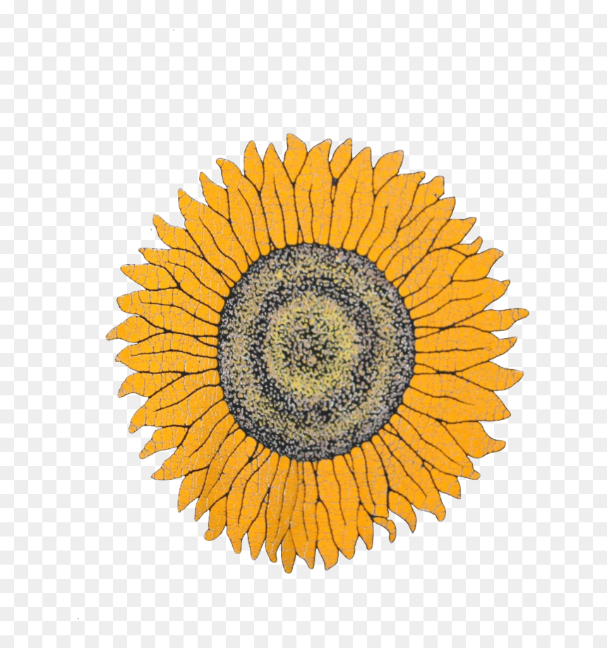 Flowers, Sunflower, And Yellow Image - Traxxas 3956r, HD Png Download - sunflower png tumblr