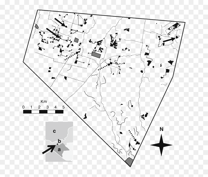 Diagram, HD Png Download - mexico map png