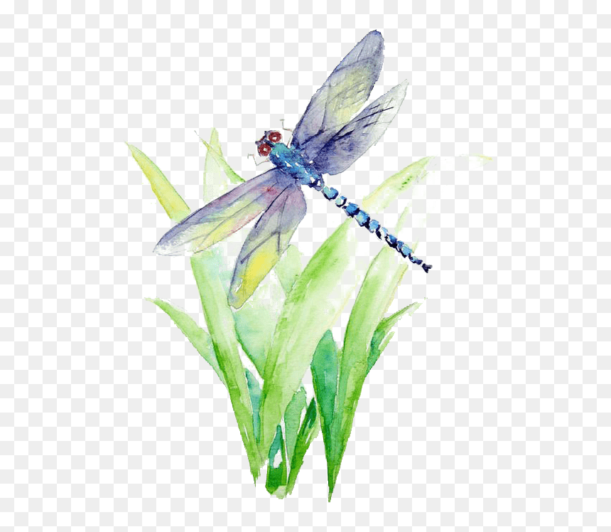Blue And Purple Dragonfly Illustration Watercolor Painting - Watercolor Painting Dragonfly, HD Png Download - dragon fly png