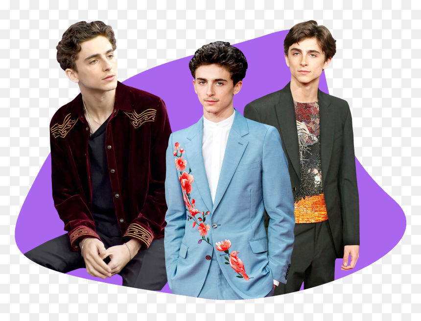 Photo Composite Of Timothee Chalamet In Colorful Blazers - Timothee Chalamet Life Size Cardboard Cutout, HD Png Download - person leaning png