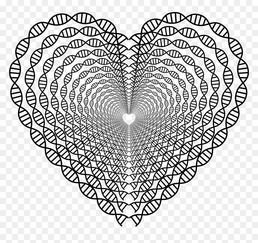 Dna Helix Heart Tunnel Clip Arts - Heart Doily Clipart Black And White, HD Png Download - dna helix png