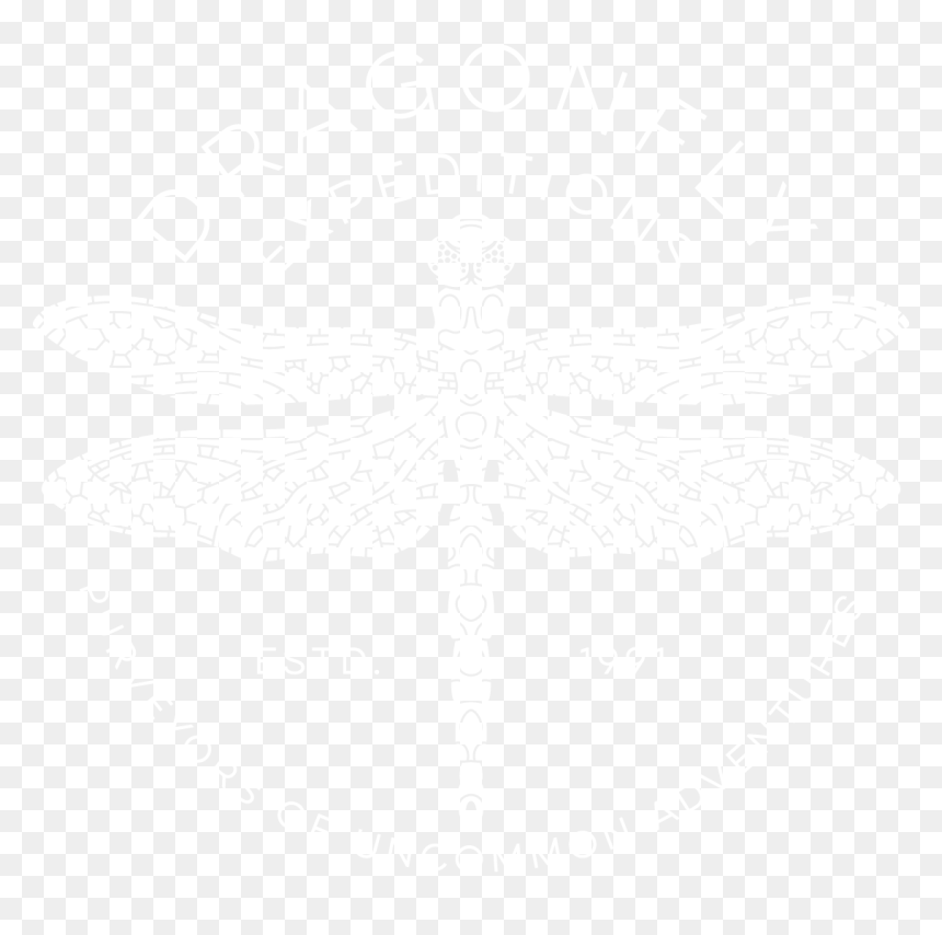 Dragonfly Expeditions - Illustration, HD Png Download - dragon fly png