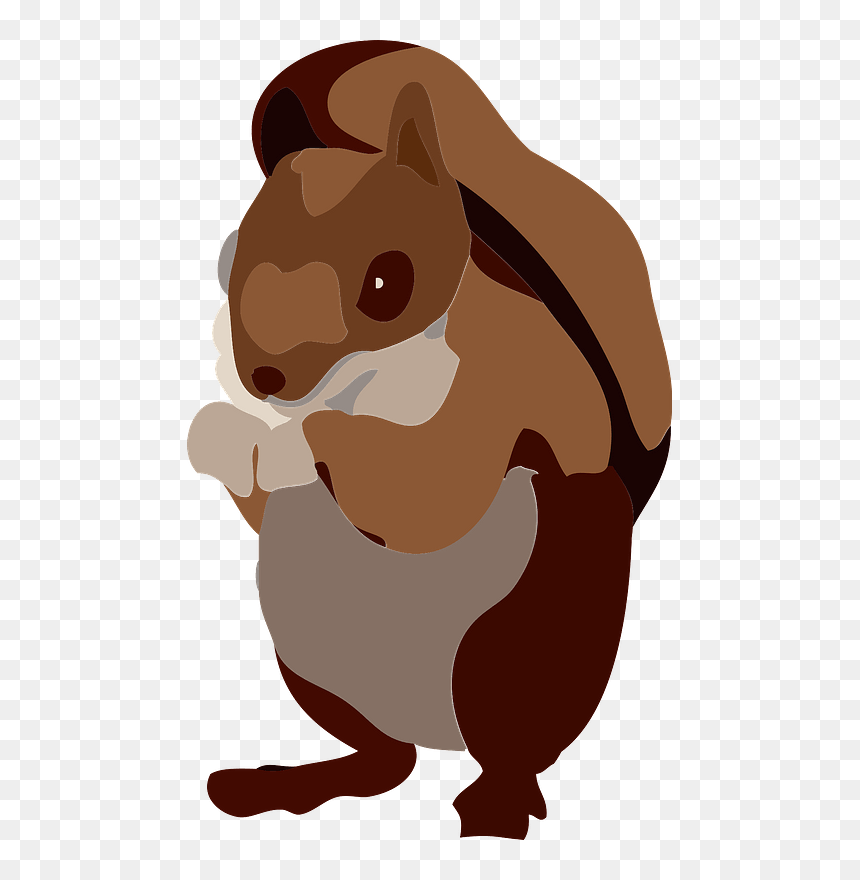 Squirrel Animal Clipart - Cartoon, HD Png Download - animal clipart png