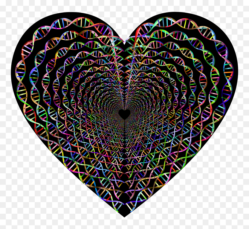 Chromatic Dna Helix Heart Tunnel - Municipal Park Corner Américo, HD Png Download - dna helix png