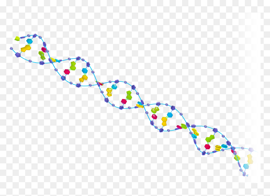 Transparent Dna Helix Png - Dna Discovery, Png Download - dna helix png