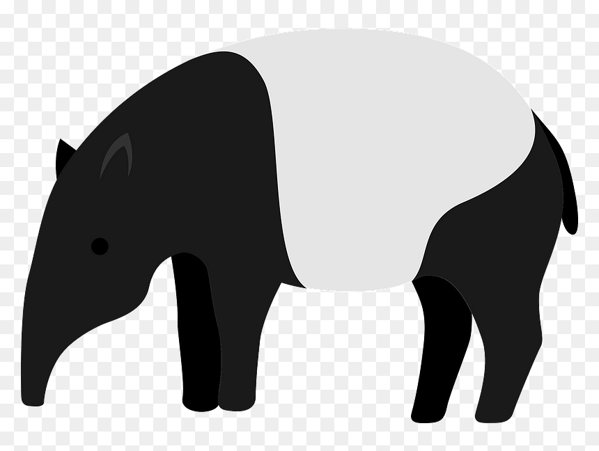 Tapir Animal Clipart - Tapir Clip Art, HD Png Download - animal clipart png