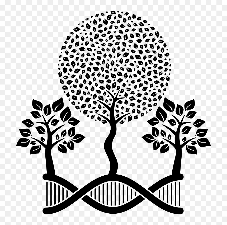 Dna Helix Arboreal - School Of English, HD Png Download - dna helix png