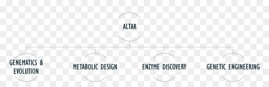 Our Team Gathers Seasoned Scientists, Engineers And - Ims Health, HD Png Download - altar png