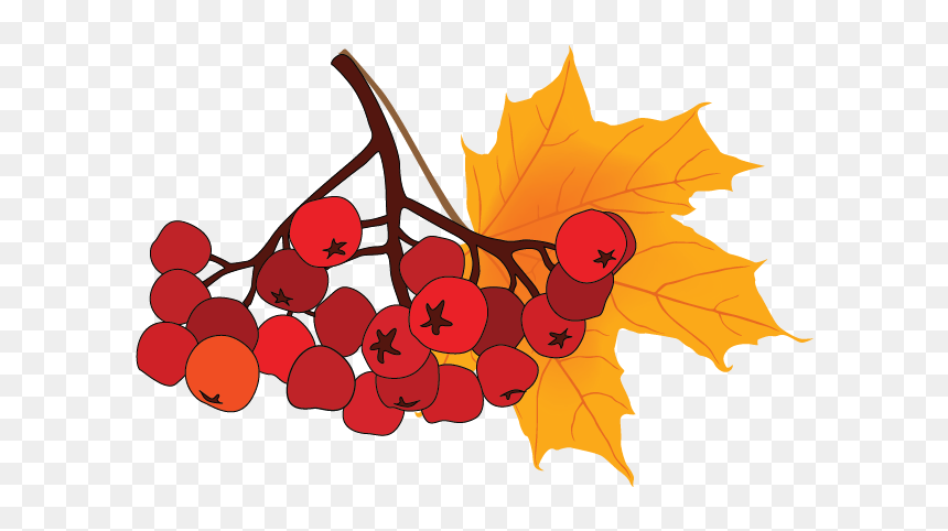 Vector Graphics, HD Png Download - fall clipart png