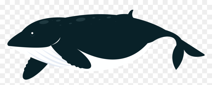 Clipart Ocean Land Ocean - Portable Network Graphics, HD Png Download - ocean clipart png