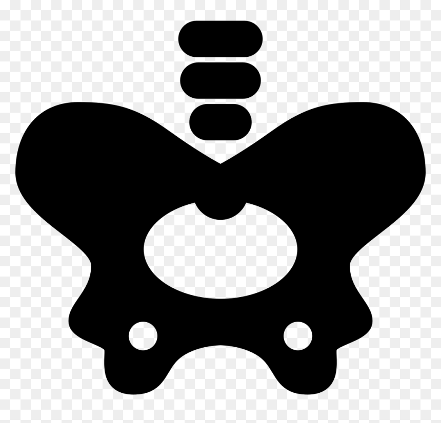 Hip Bone - Hip Bone Clip Art, HD Png Download - bone.png