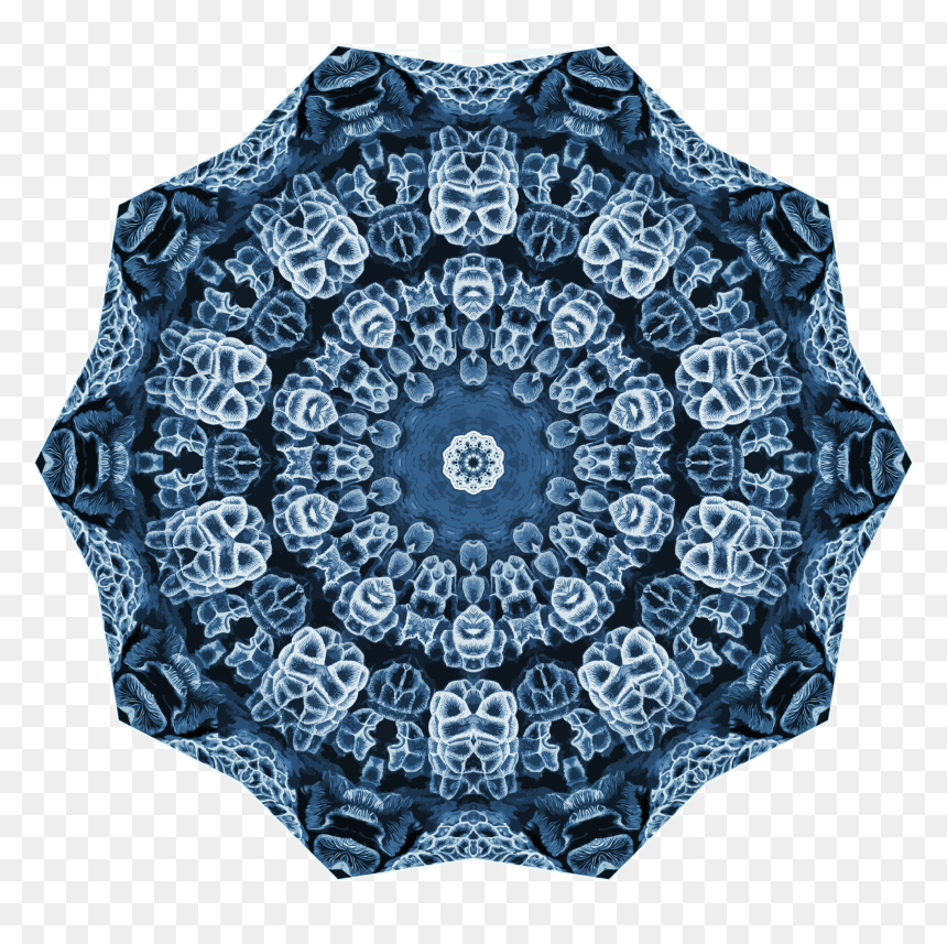 Hexacoralla 15 Clip Arts - Lace, HD Png Download - lace doily png