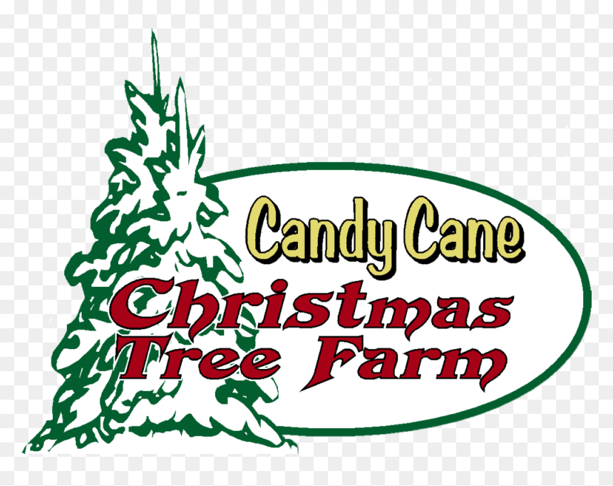 Christmas Coupon Png - Illustration, Transparent Png - savitar png