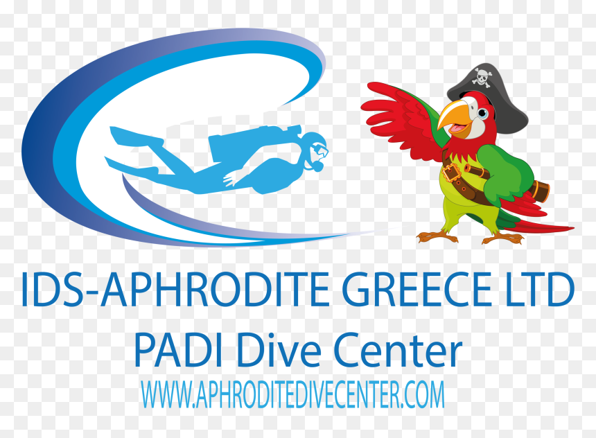 Transparent Background Pirate Parrot Clipart, HD Png Download - aphrodite png