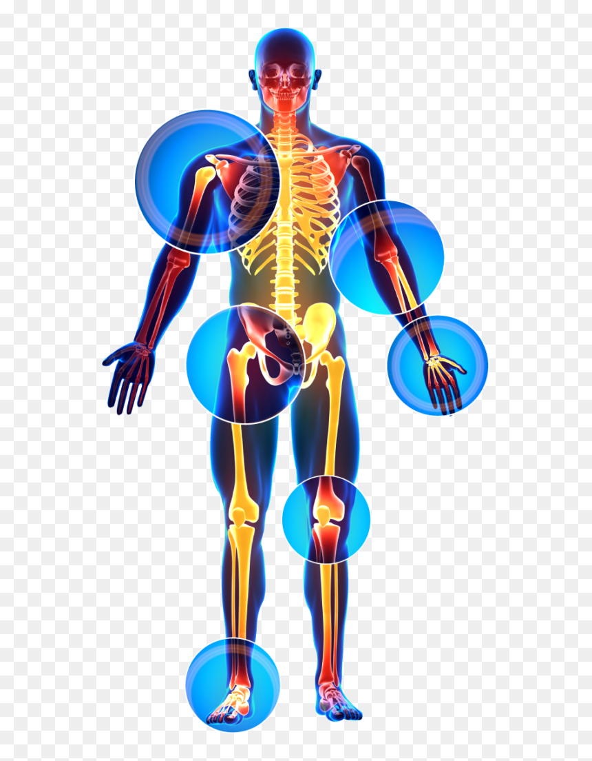Illustration, HD Png Download - skelton png