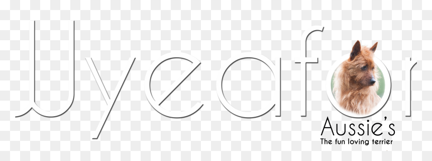 Download Zara Boyle Design - Circle, HD Png Download - zara png