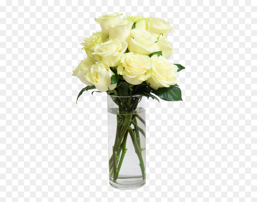 Garden Roses, HD Png Download - long stem rose png
