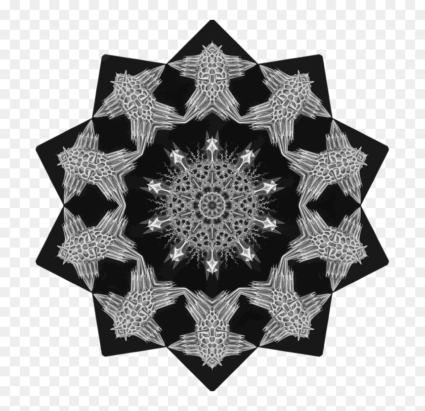 Visual Arts,lace,symmetry - Circle, HD Png Download - lace doily png