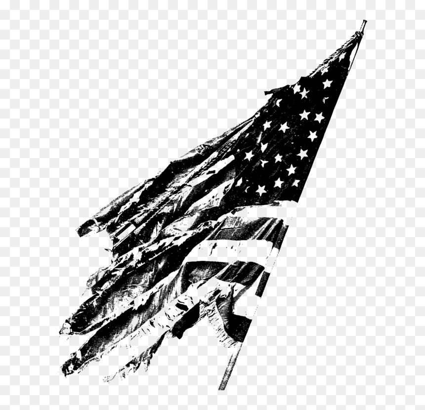 Blackandwhite,air Force,ground Attack Aircraft - Illustration, HD Png Download - us flag clip art png