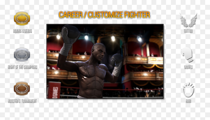 Basic Tips - Professional Boxing, HD Png Download - boxing ring ropes png