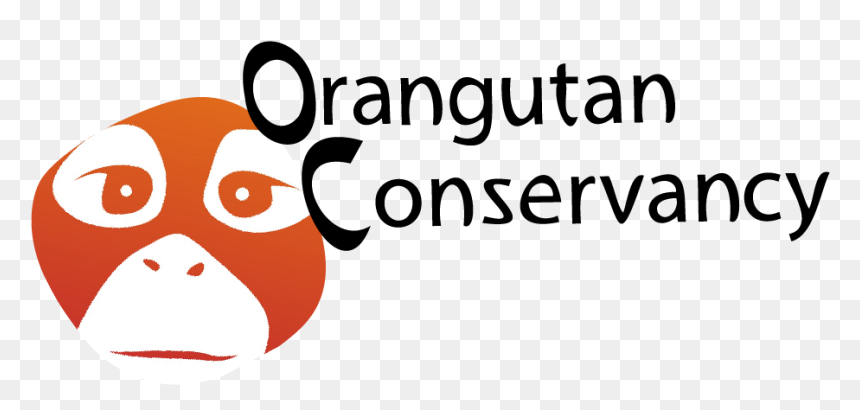 Orangutan Conservancy Logo, HD Png Download - orangutan png
