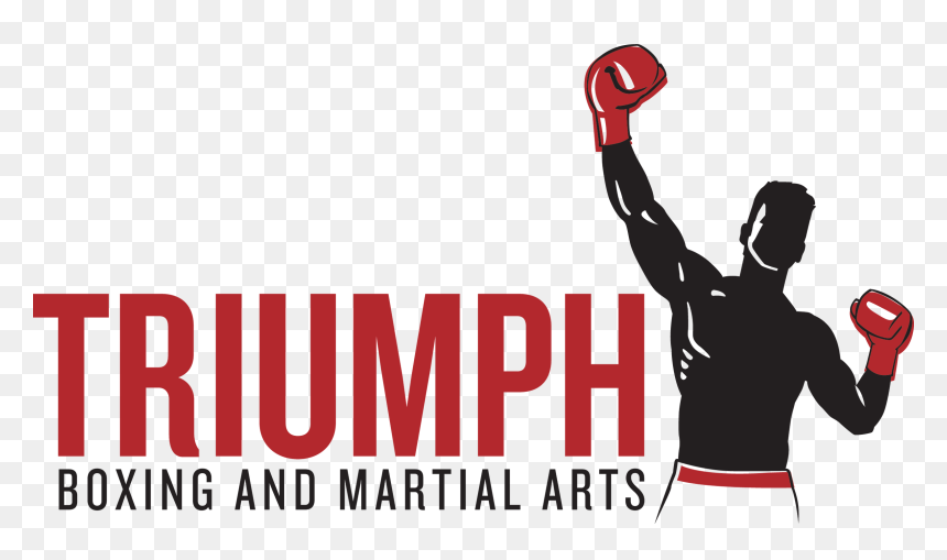 Deaflympics Taipei 2009, HD Png Download - boxing ring ropes png