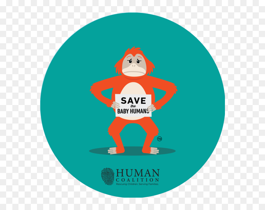Orangutan , Png Download - Child, Transparent Png - orangutan png